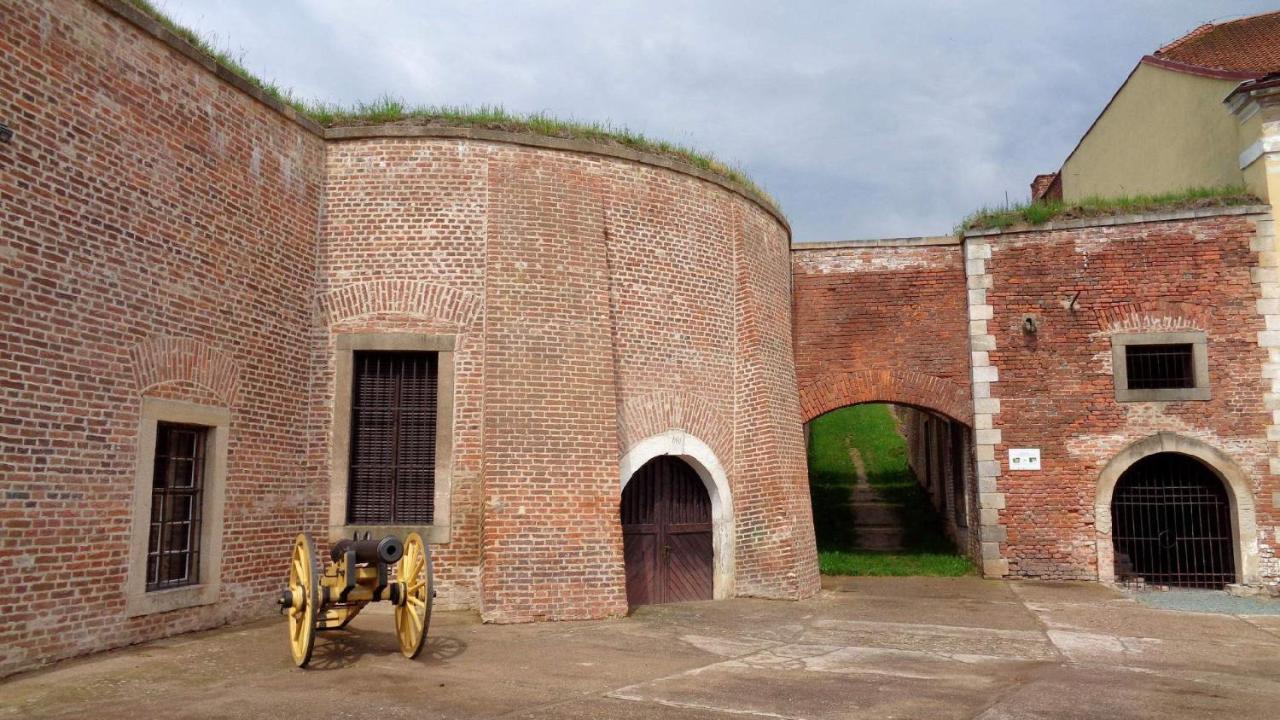Penzion U Pesiku Cerveny Kostelec Exterior photo